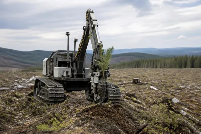 tree-planting-robots-still-have-to-solve-the-ground-beneath-them-1200x800-v1.jpg